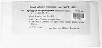 Image Associated With the Occurence